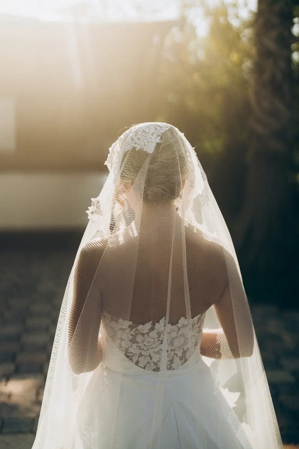 لباس عروس|لباس|ساری, |دیوار