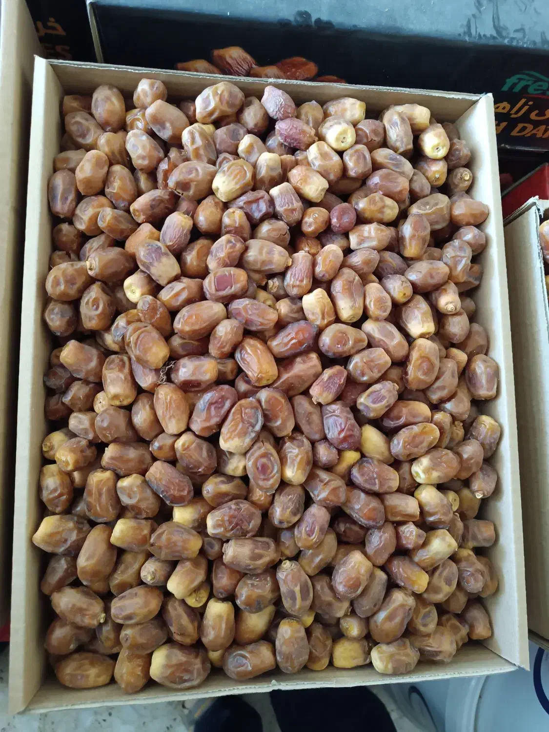 خرمای سوپر لوکس زاهدی آجیلی بوشهر|خوردنی و آشامیدنی|قم, پردیسان|دیوار