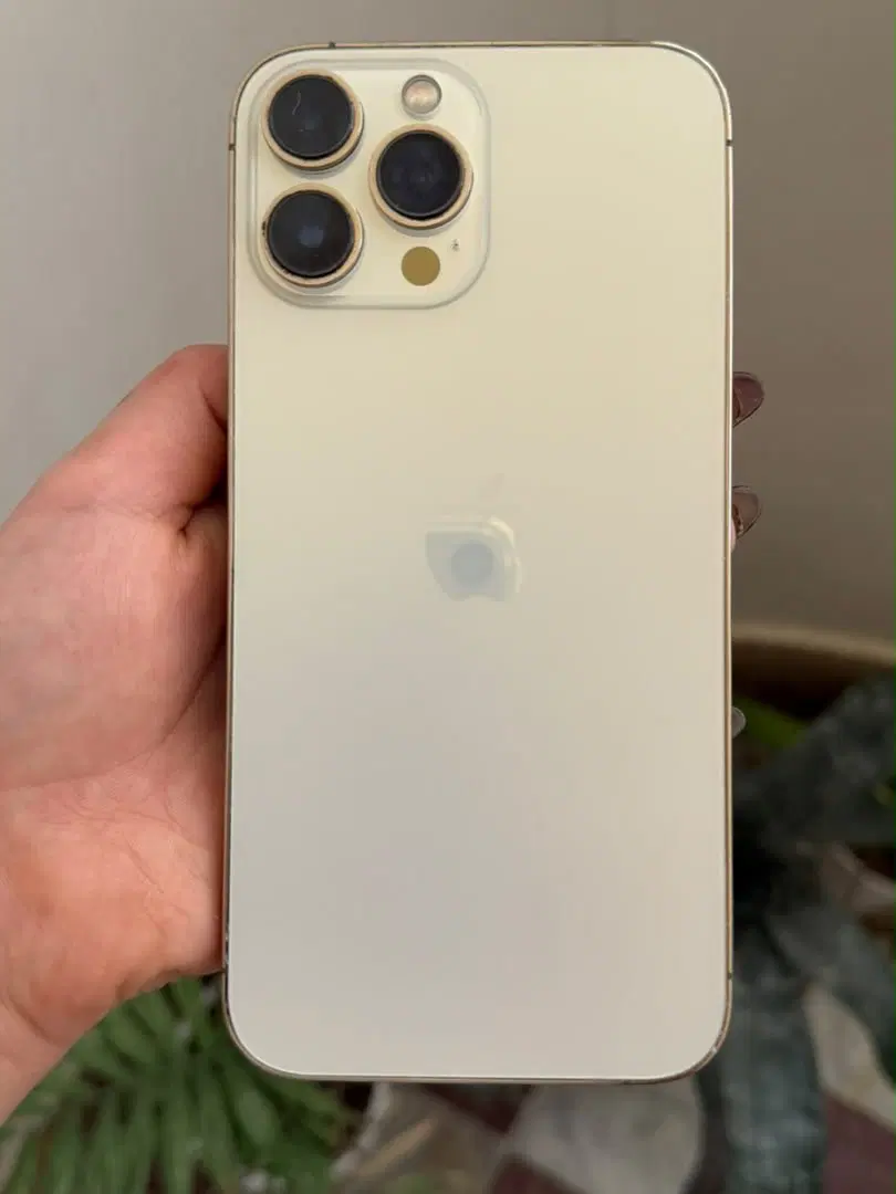 13 pro max|موبایل|بندر دیر, |دیوار