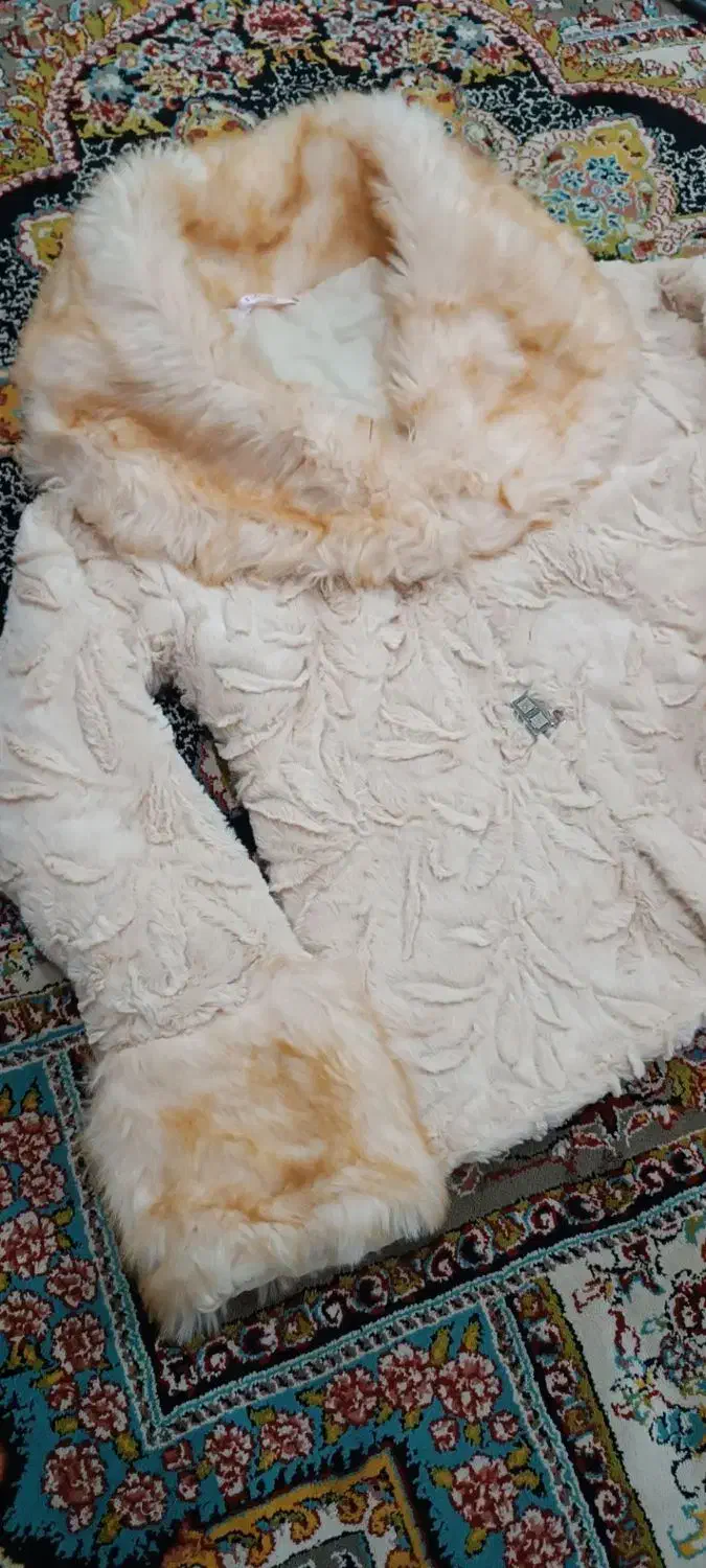 کت خزدار کوتاه|لباس|خواف, |دیوار