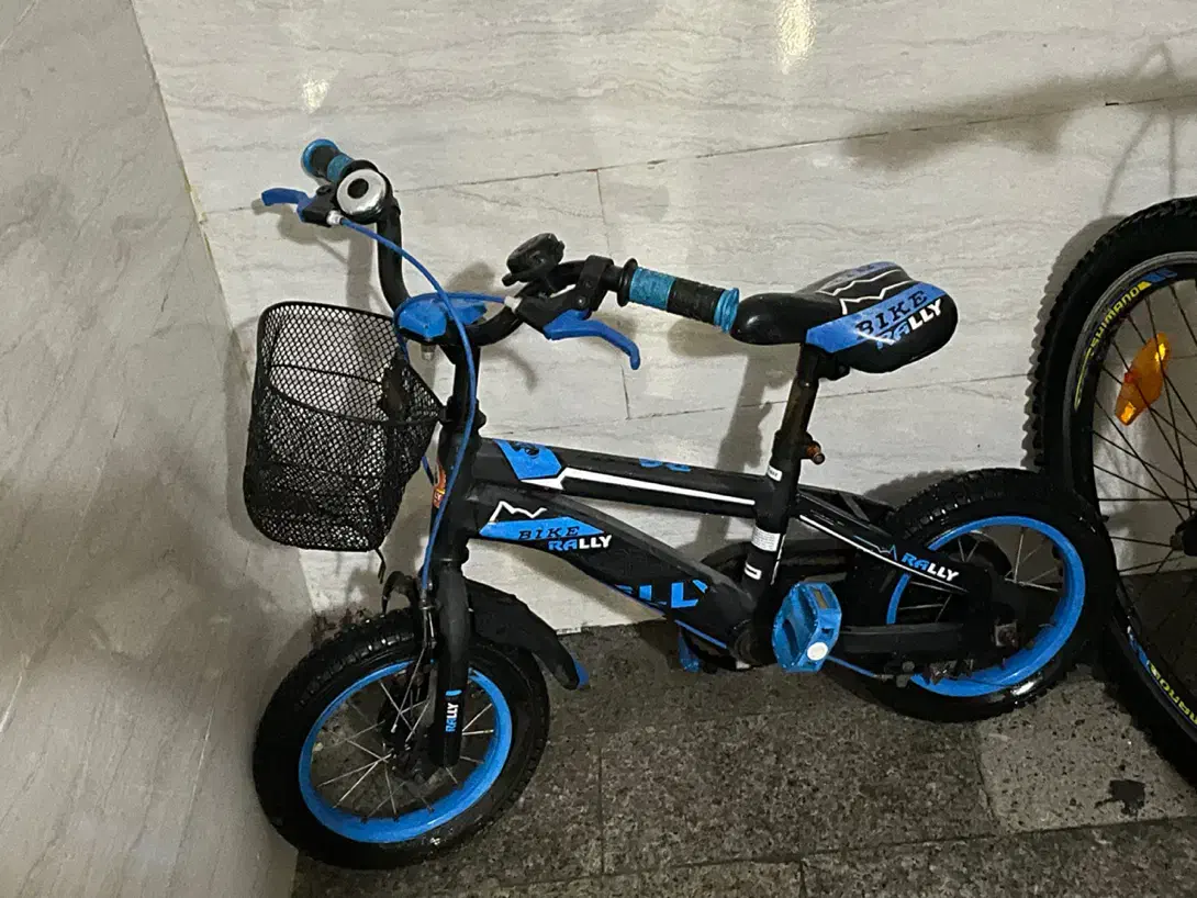 دوچرخه|دوچرخه، اسکیت، اسکوتر|کیش, |دیوار