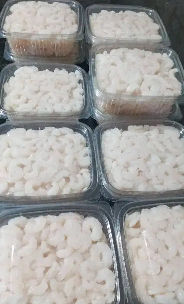 میگو|خوردنی و آشامیدنی|قشم, |دیوار