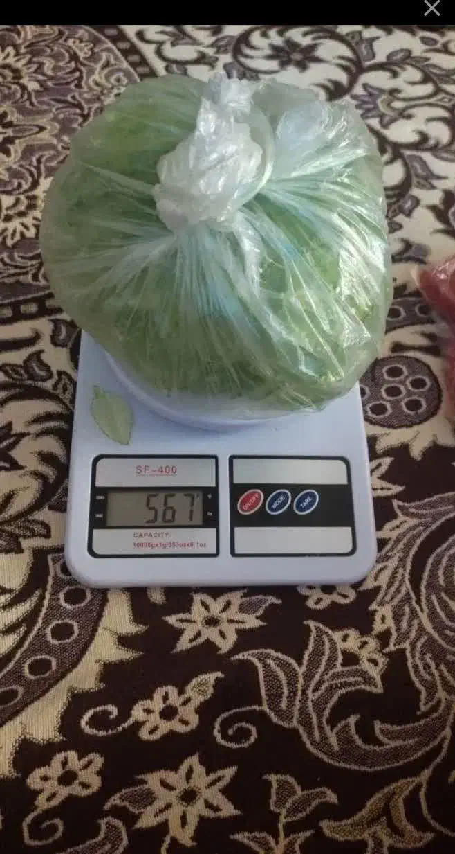 وسایل گلسازی|ابزارآلات|مشهد, شهرآرا|دیوار