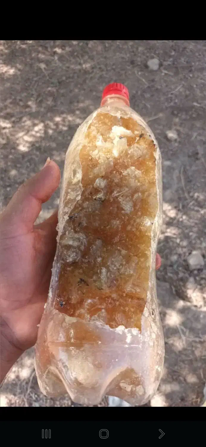 عسل طبیعی|خوردنی و آشامیدنی|اهواز, کیانپارس |دیوار