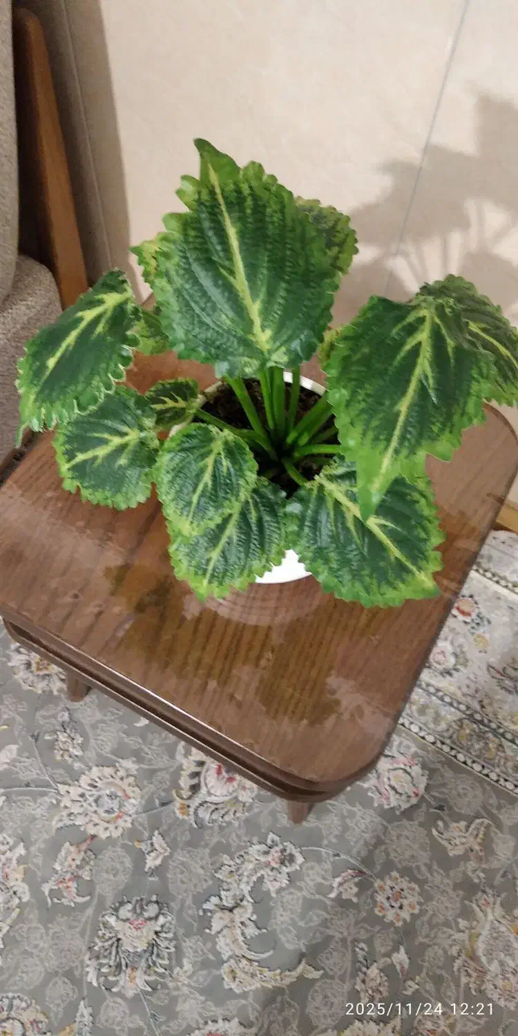 روفرشی|روفرشی|مشهد, پورسینا|دیوار