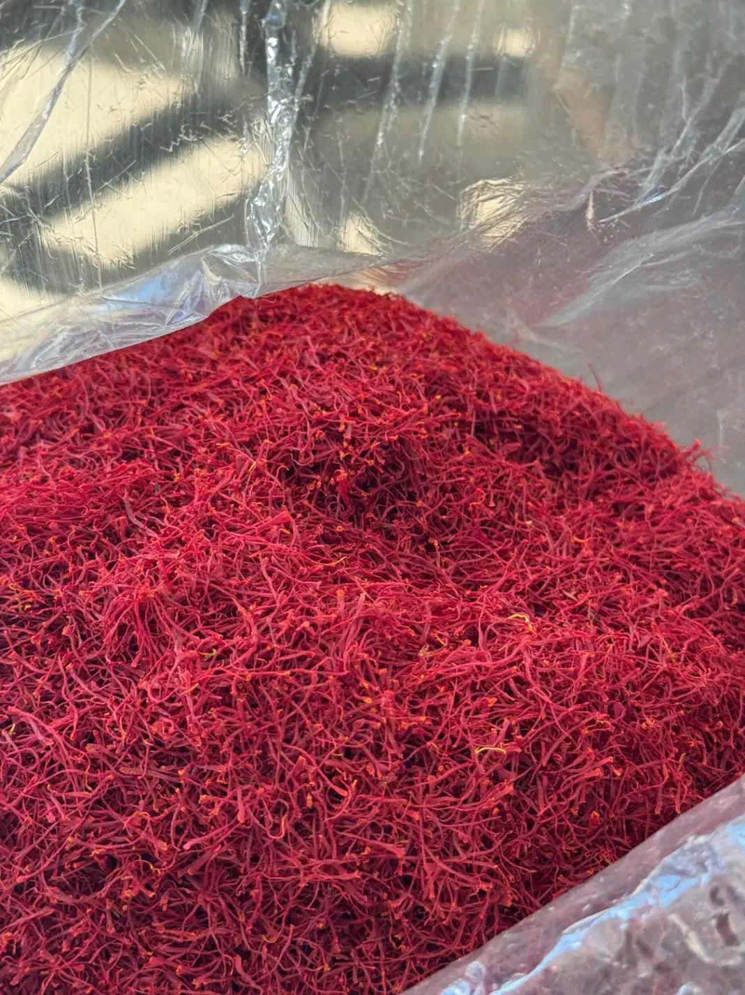 فراوری زعفران|خدمات باغبانی و درختکاری|اصفهان, احمدآباد|دیوار