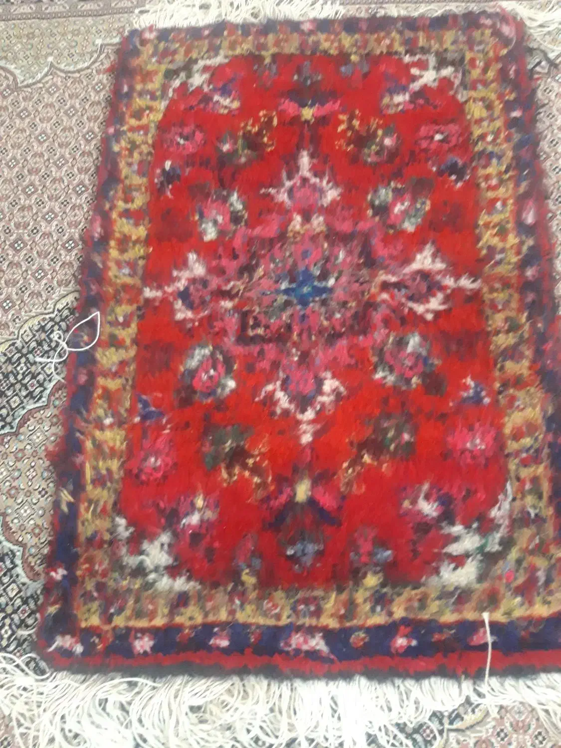 پادری دست بافت|فرش|اردبیل, |دیوار