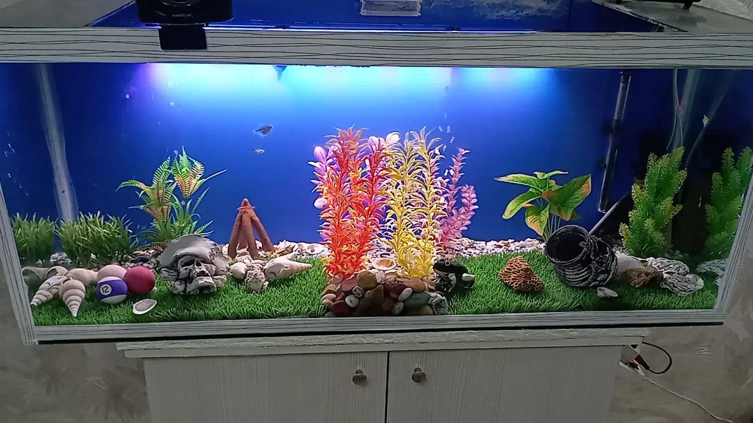 اکواریوم|ماهی|رباطکریم, رباطکریم|دیوار