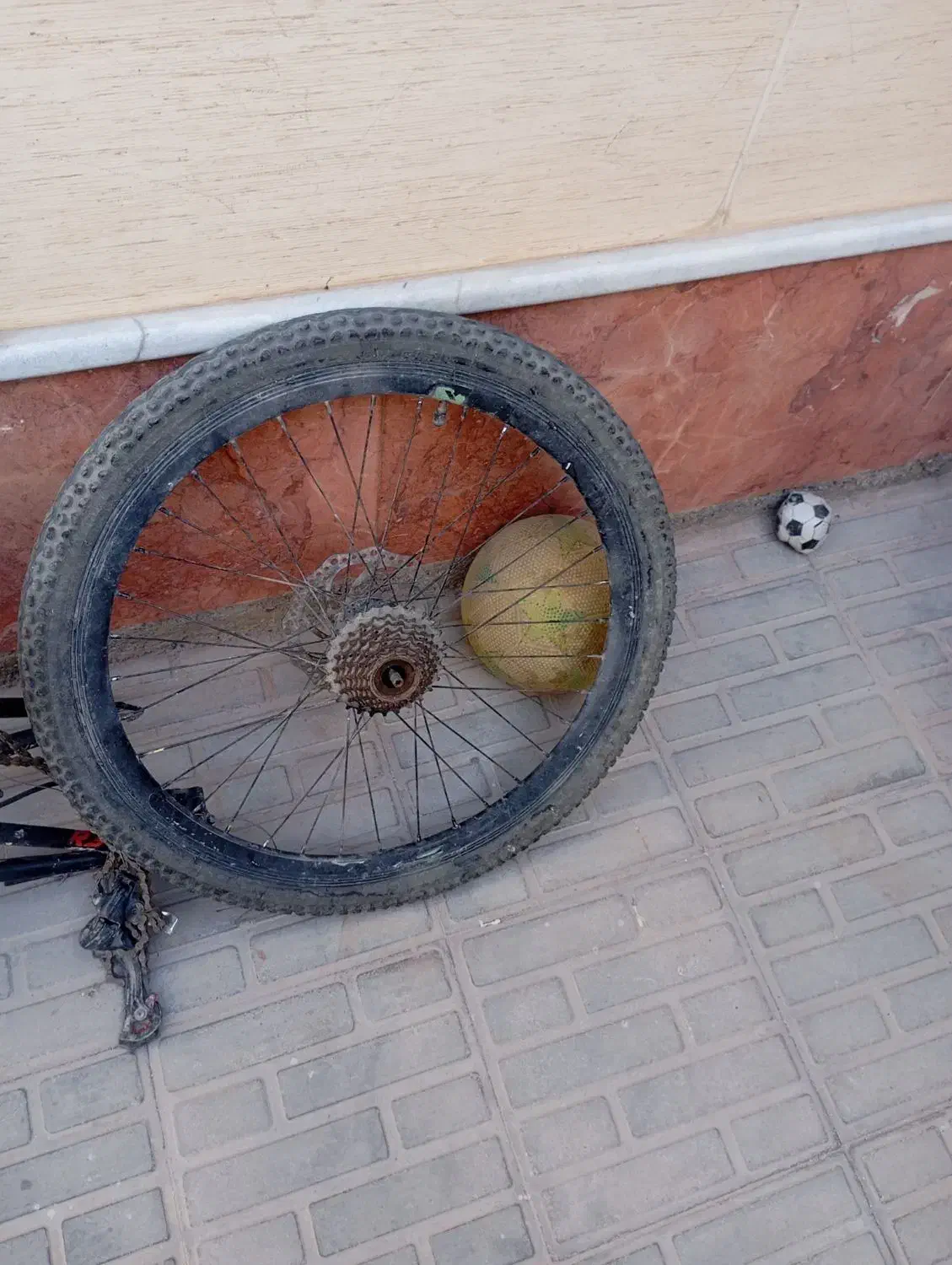 لاستیک دوچرخه|دوچرخه، اسکیت، اسکوتر|کرمان, |دیوار