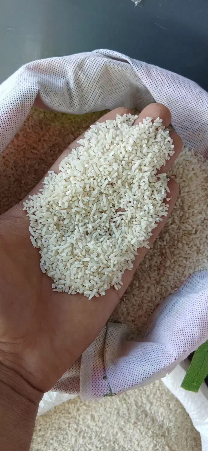 نیم دانه صدری هاشمی|خوردنی و آشامیدنی|کوچصفهان, |دیوار