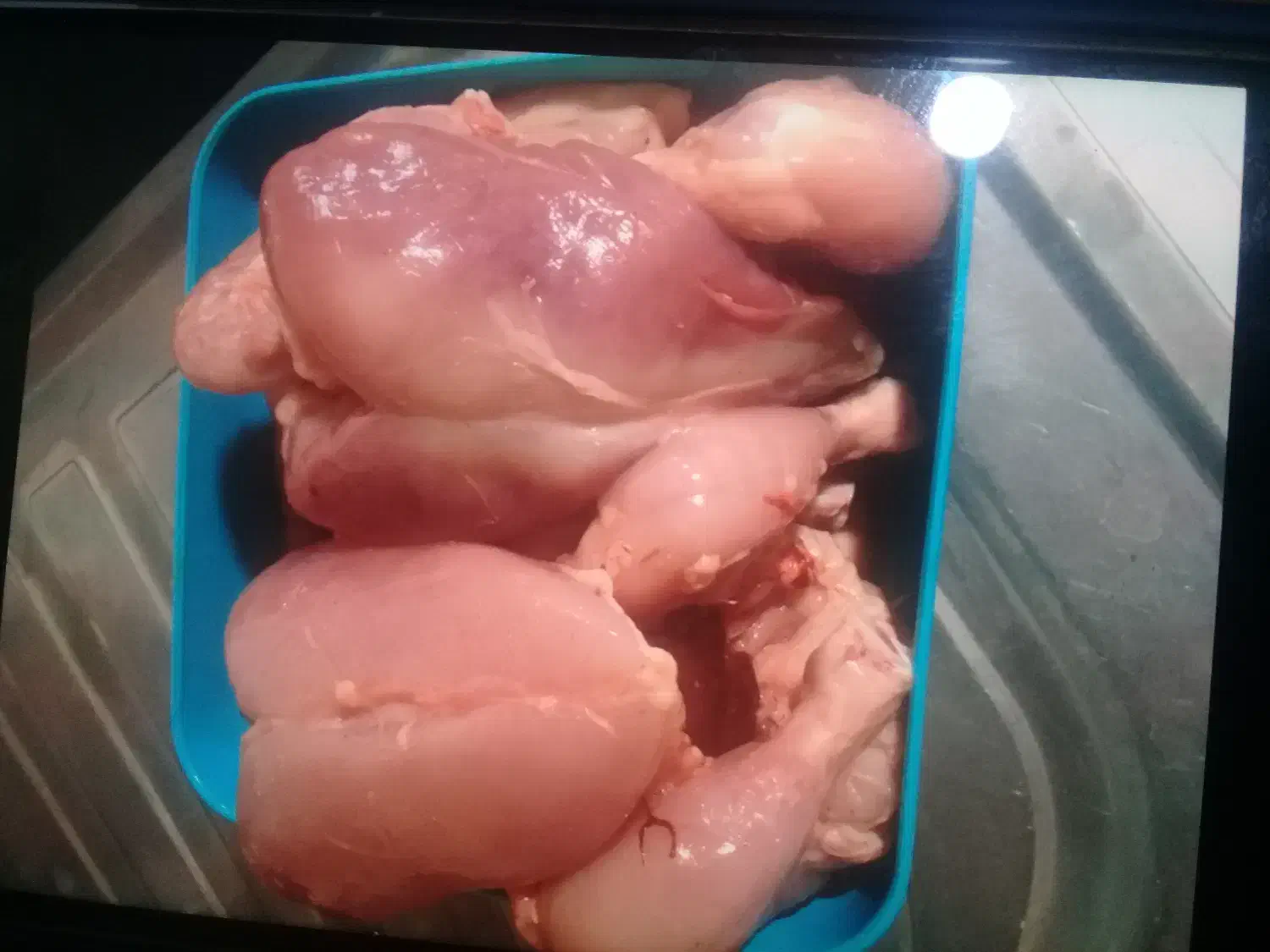 غذای سگ وگربه|لوازم جانبی حیوانات|گنبد کاووس, |دیوار