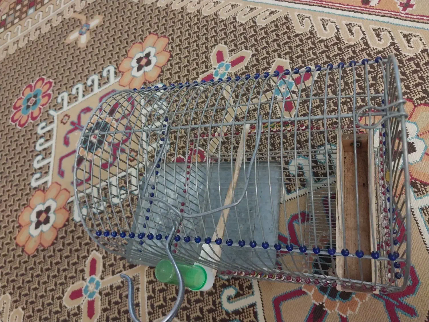 قفس سهره|لوازم جانبی حیوانات|تهران, قیام|دیوار