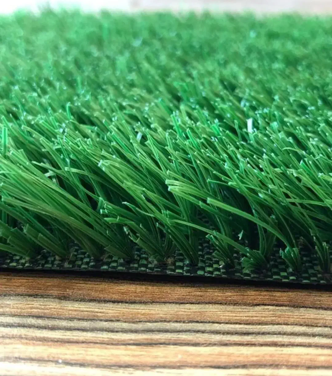 چمن مصنوعی آسیا|گل مصنوعی|مشهد, شهرک لشکر (شهرک غرب)|دیوار