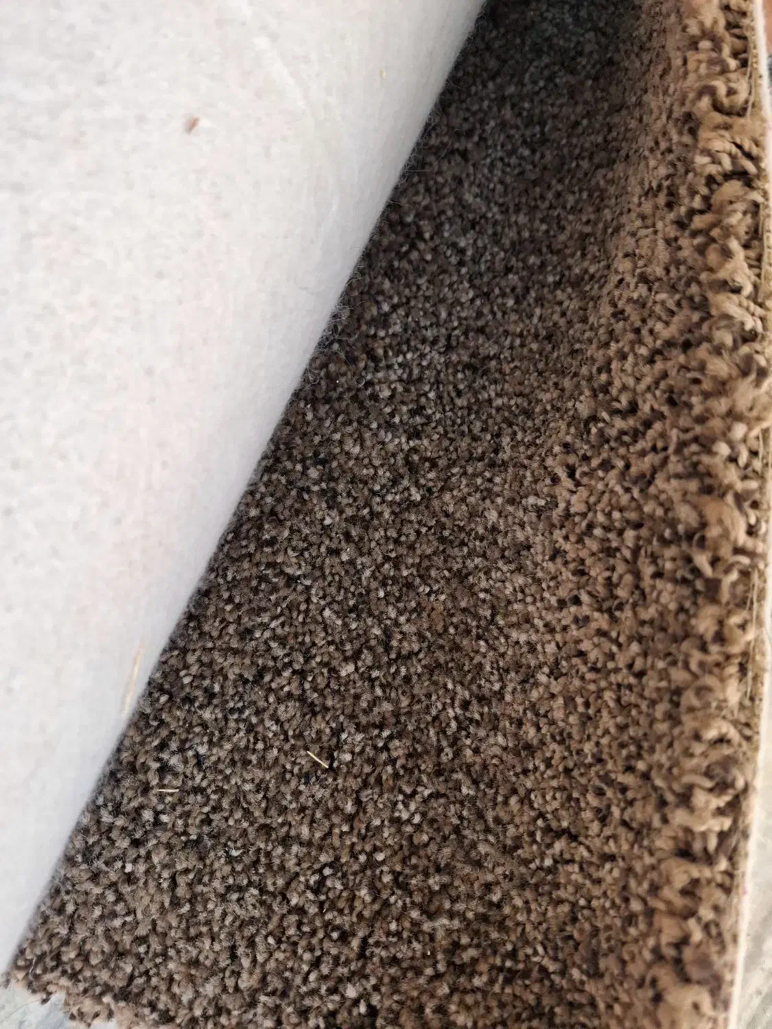 موکت پرز بلند|موکت|بروجرد, |دیوار