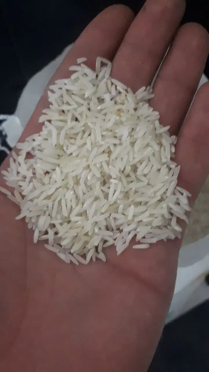 برنج هاشمی|خوردنی و آشامیدنی|رباط‌کریم, رباط‌کریم|دیوار