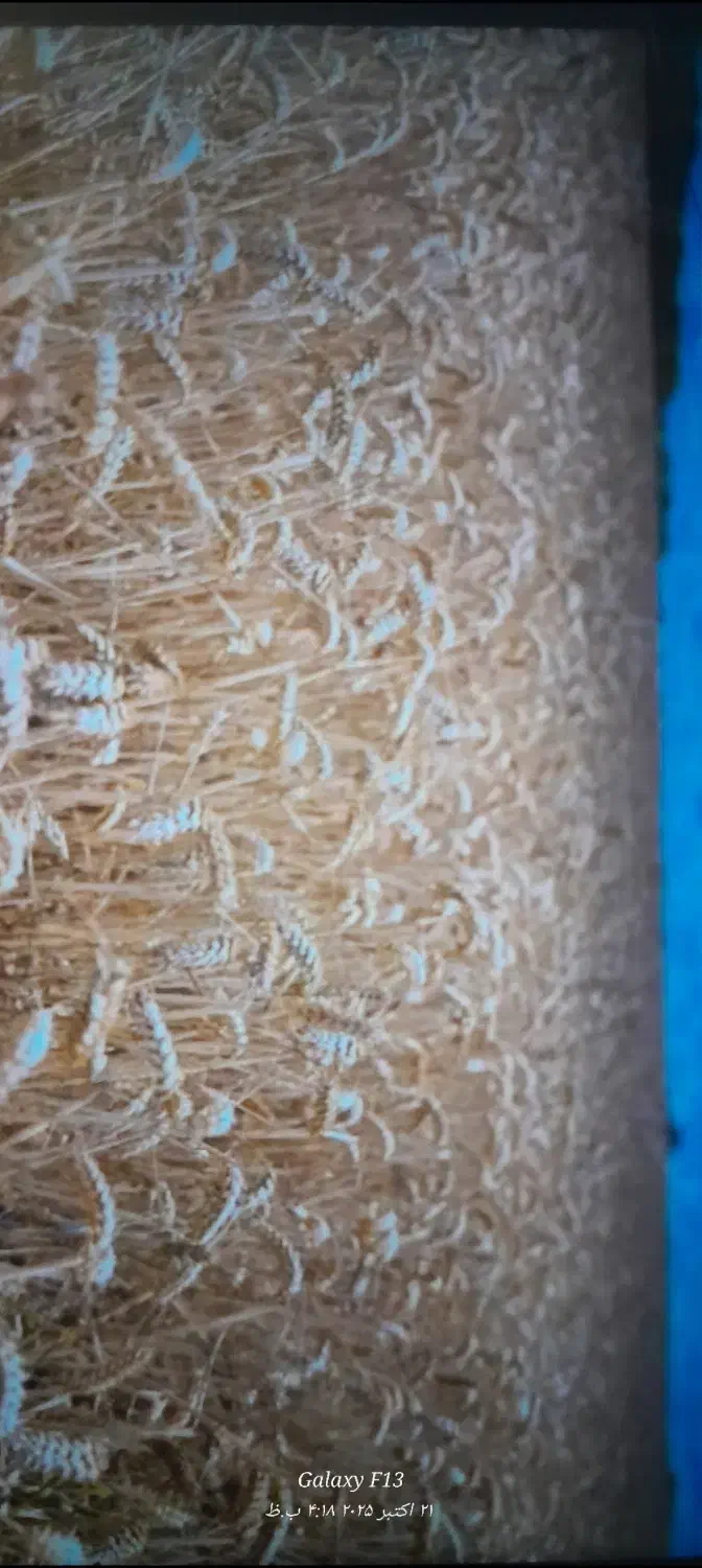 زمین دیم|فروش دفتر صنعتی، کشاورزی، تجاری|چهاردولی, |دیوار