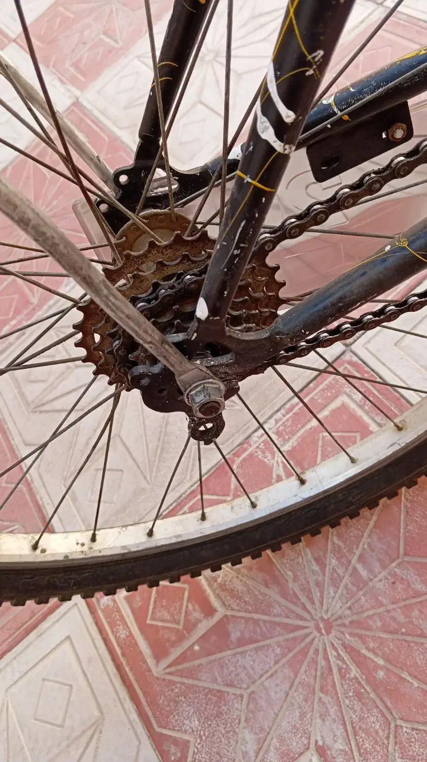 دوچرخه ۲۶|دوچرخه، اسکیت، اسکوتر|هریس, |دیوار