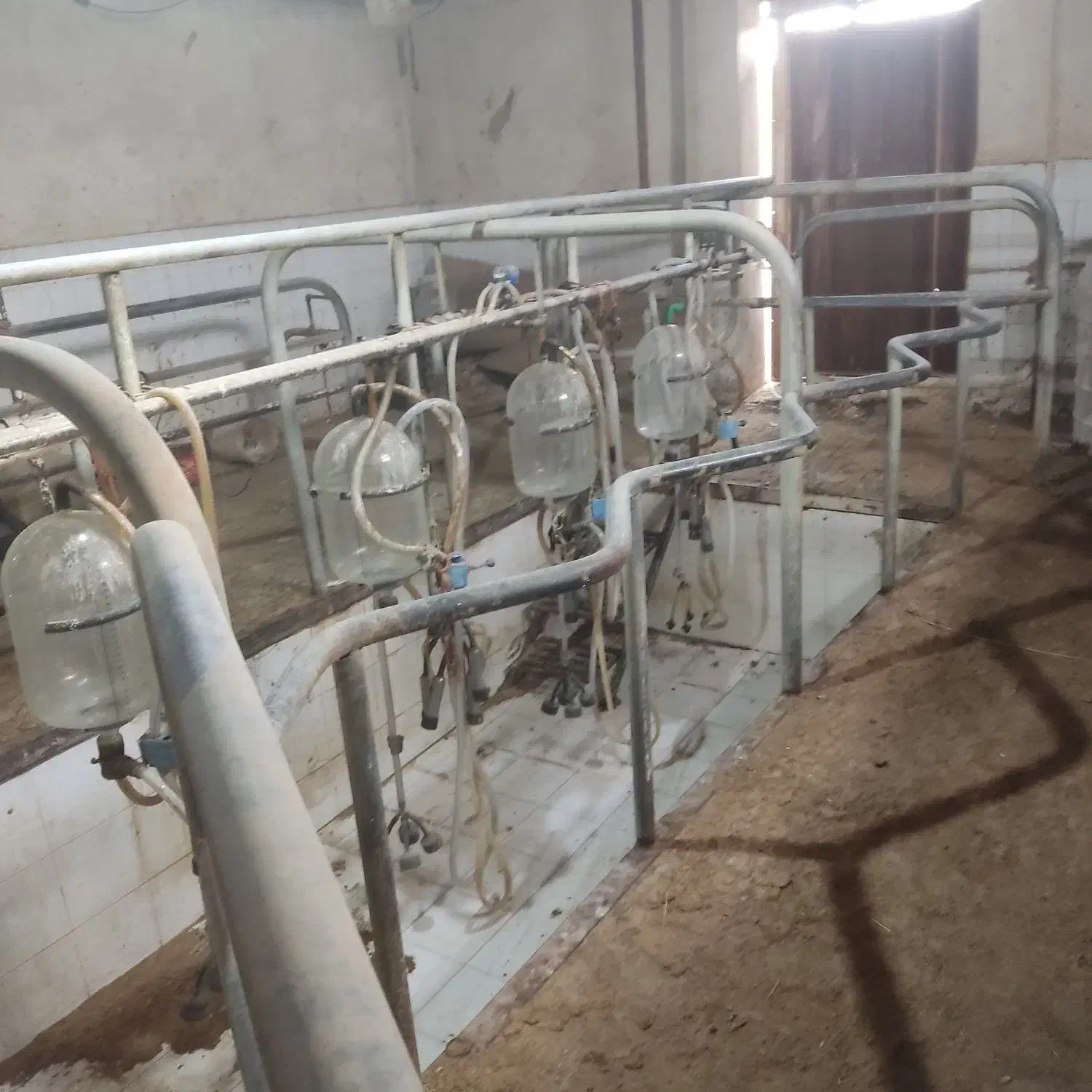 فرم شیردوشی تجهیزات دامداری شیردوش|عمده‌فروشی|احمدآبادمستوفی, |دیوار