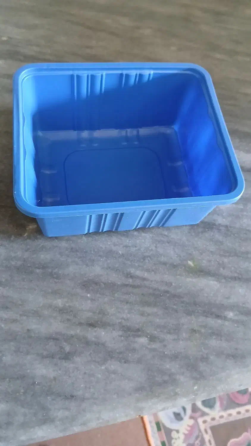 ظرف بسته بندی قارچ|ظروف نگهدارنده، پلاستیکی، یکبارمصرف|بندر ترکمن, |دیوار