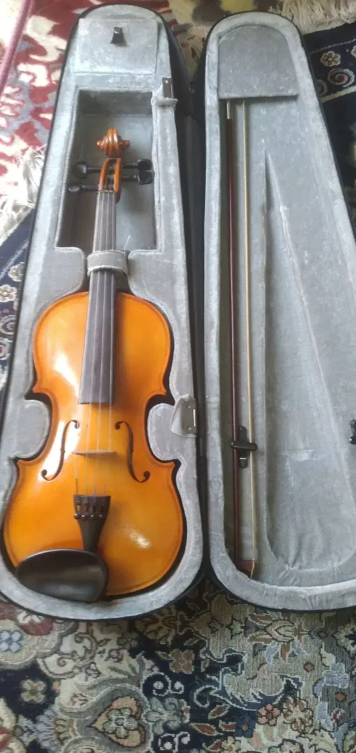 ویولون نو|ویولن|اهواز, زندوکیلی|دیوار