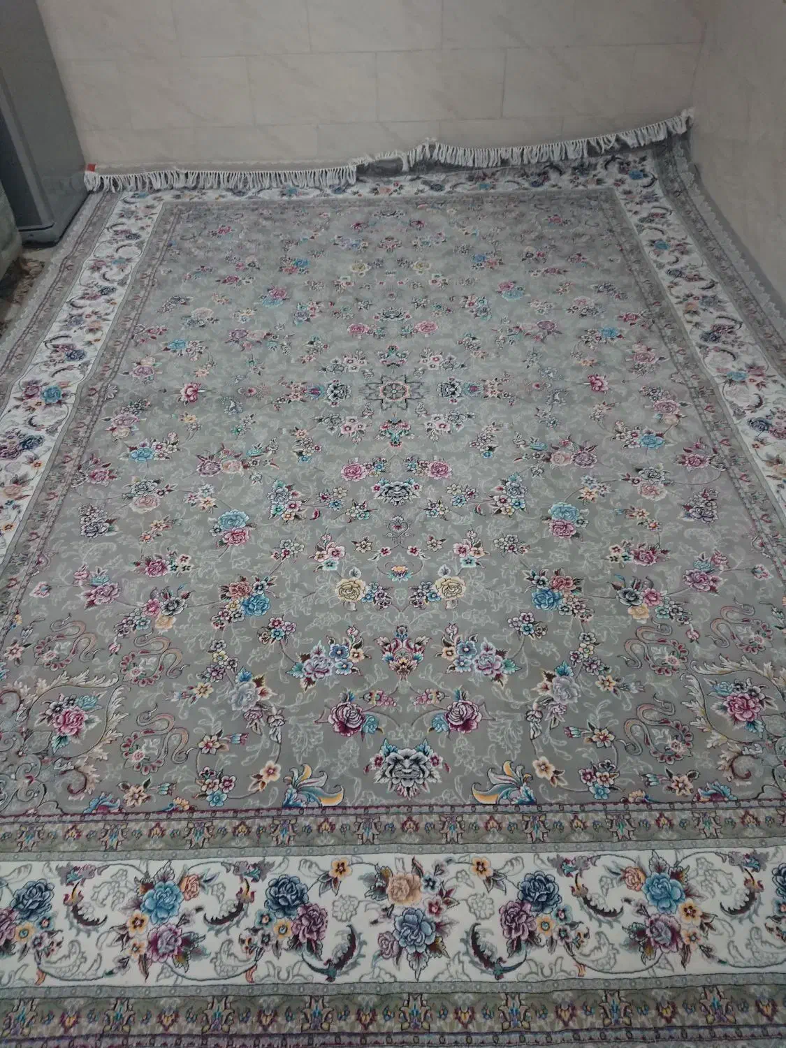 فرش 12 متری|فرش|یزد, |دیوار