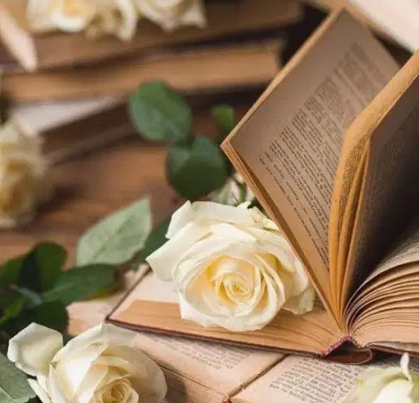 تدریس زبان|خدمات آموزشی|کرمانشاه, |دیوار