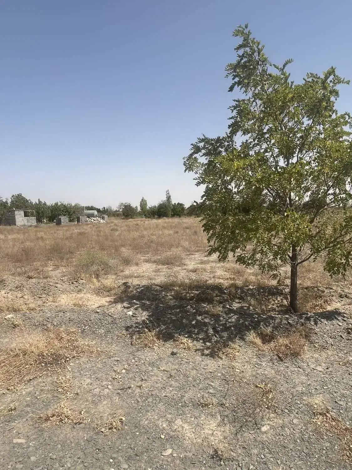 زمین باغی چاهشک باغستان ثامن - فروش ویژه و فوری|فروش زمین و ملک کلنگی|مشهد, چاهشک|دیوار