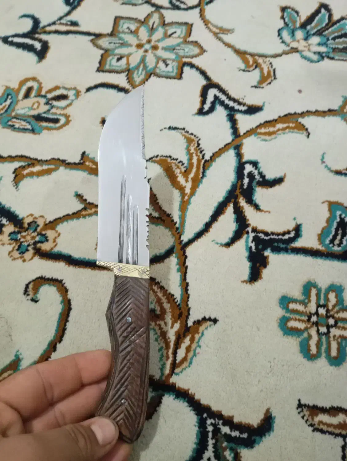 چاقو فنر|کوهنوردی و کمپینگ|بجنورد, |دیوار