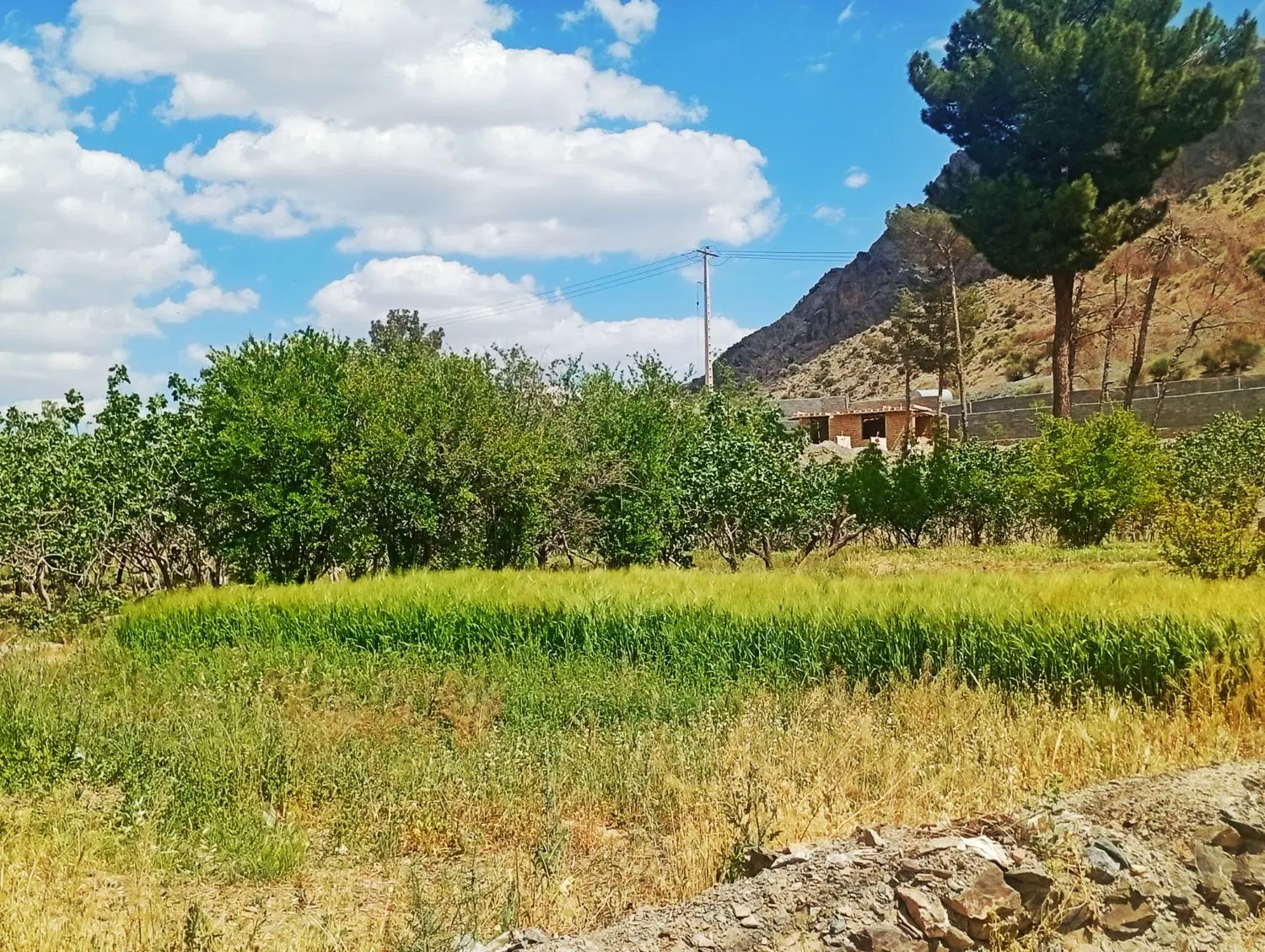 تصویر 9