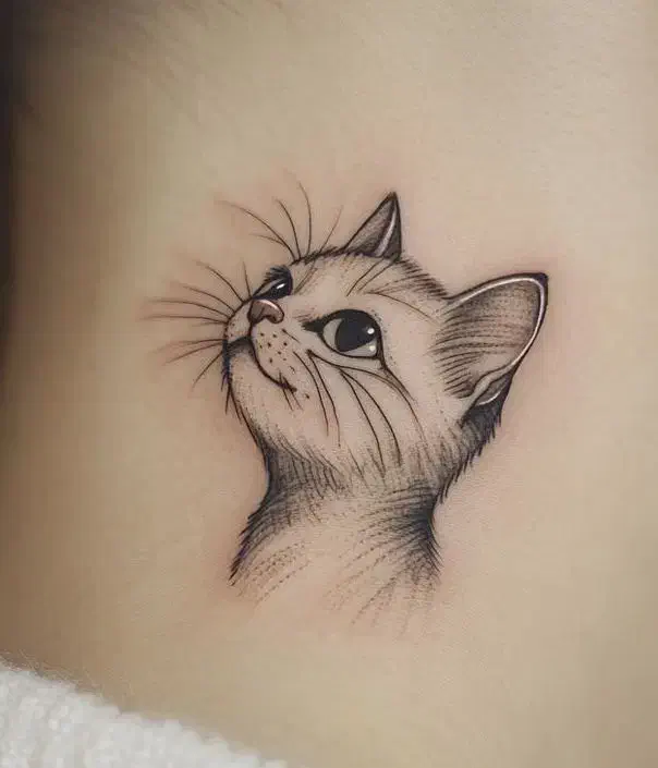 مدل برای تتو بدن و شیدینگ لب|خدمات آرایشگری و زیبایی|دهگلان, |دیوار