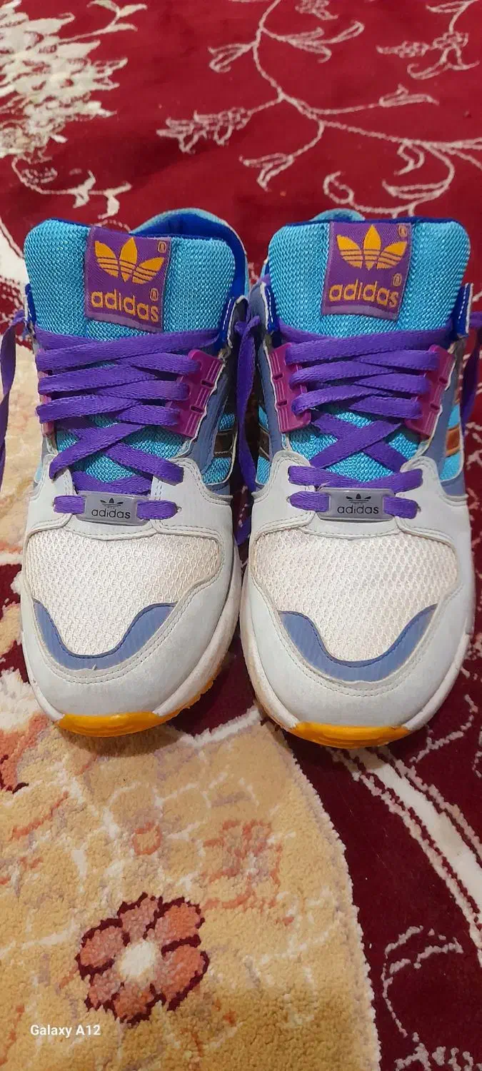 کفش|کیف، کفش، کمربند|مشگین شهر, |دیوار