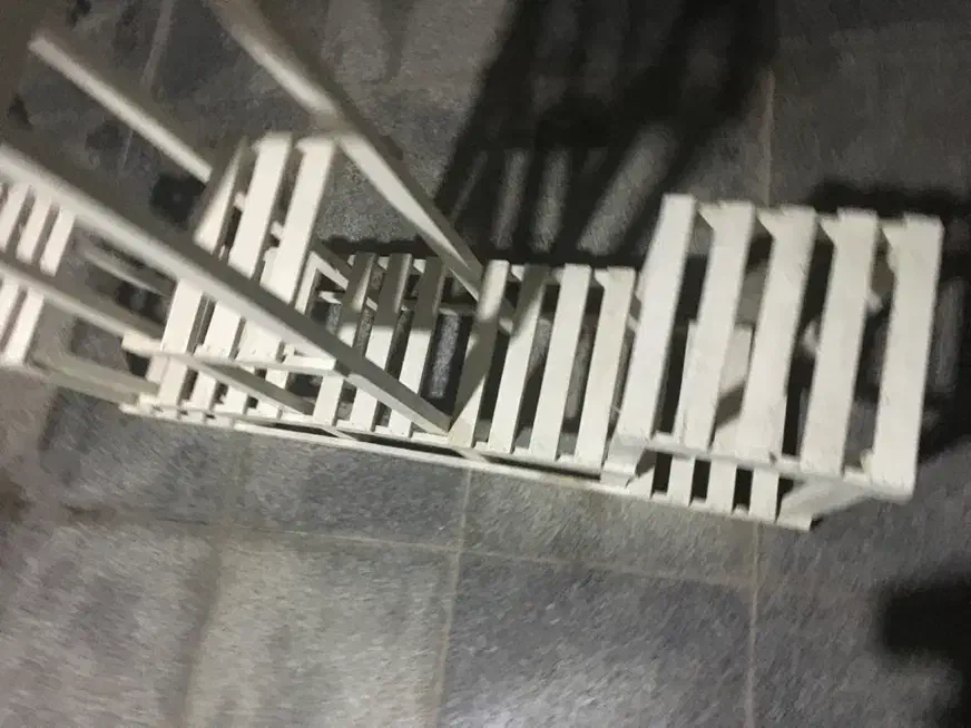 استندگل سالم|گل و گیاه طبیعی|بجنورد, |دیوار