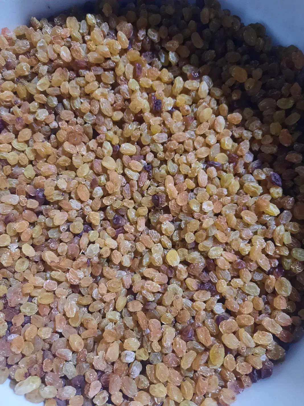 فروش گشمش پلویی|خوردنی و آشامیدنی|شیراز, قدوسی شرقی|دیوار