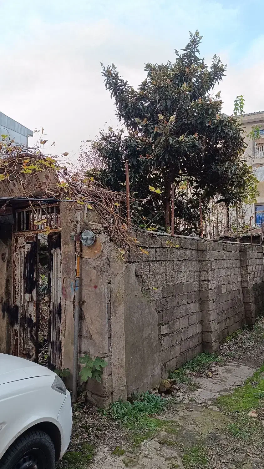 ۳۶۰متر زمین میدان فرهنگ خیابان آزادگان|فروش زمین و ملک کلنگی|رشت, خمیران زاهدان|دیوار