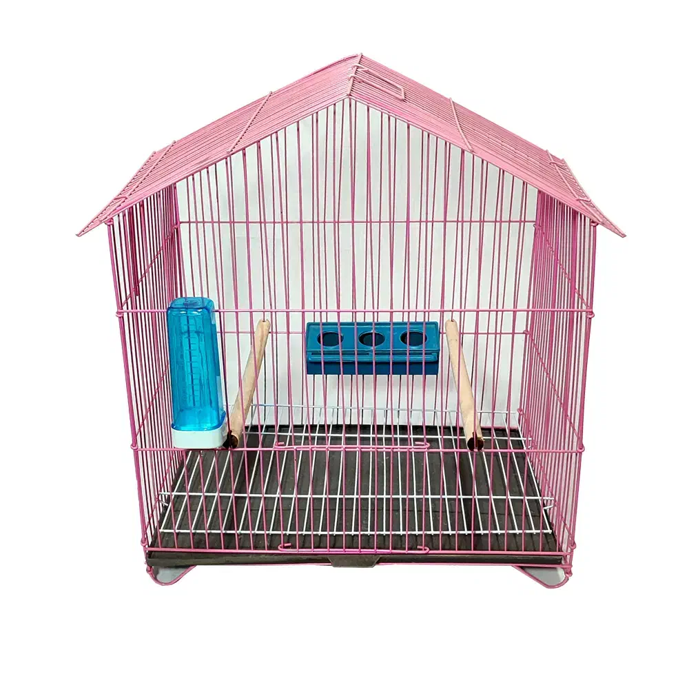 پرنده|لوازم جانبی حیوانات|شیروان (خراسان), |دیوار