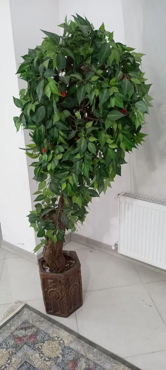 درخت گیلاس با تنه طبیعی گل و گلدون اشانتیون|گل مصنوعی|اسلامشهر, شهرک واوان|دیوار