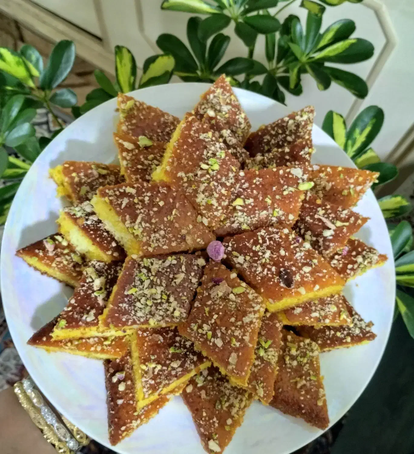 شال.انواع کیک های خانگی|لباس|تربتحیدریه, طالقانی|دیوار