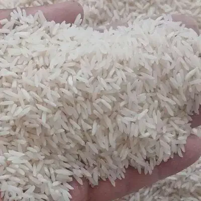 فروش برنج طارم|خوردنی و آشامیدنی|آمل, |دیوار