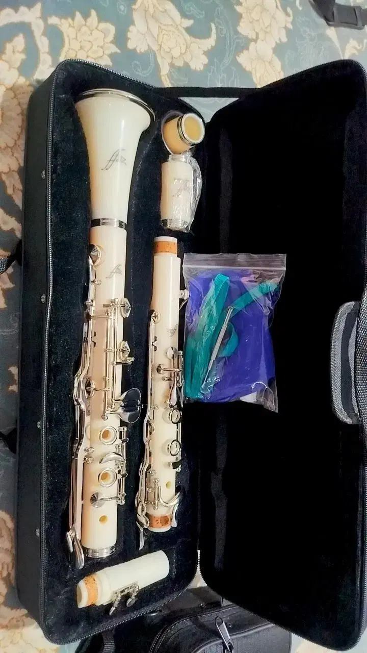 2عدد کلارینت سل آکبند بدون استفاده|سازهای بادی|تهران, آذربایجان|دیوار