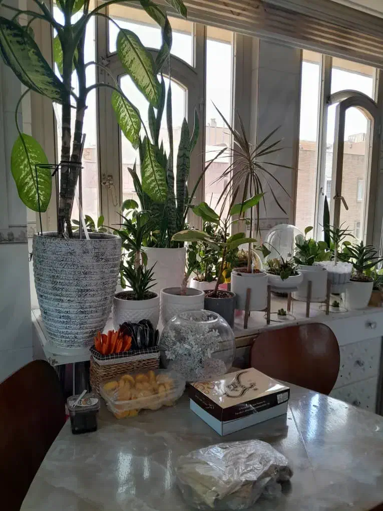 ۱۳۰متر اپارتمان بر اصلی خ ابوسعید ۱۰۰قدمی منیریه|فروش آپارتمان|تهران, منیریه|دیوار