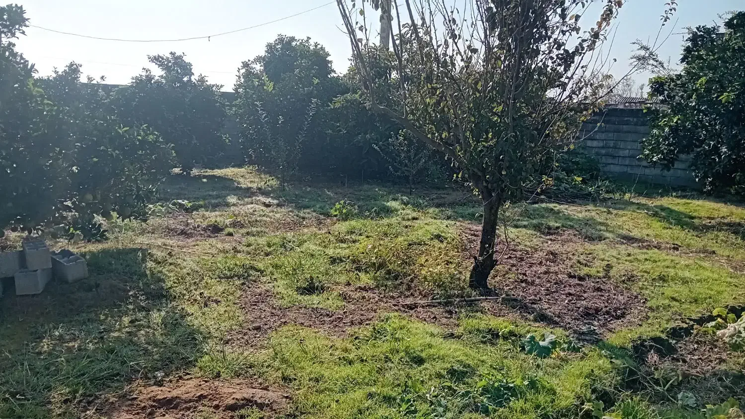 ۲۱۰ متر زمین بر خیابان اصلی|فروش زمین و ملک کلنگی|زرگرشهر, |دیوار