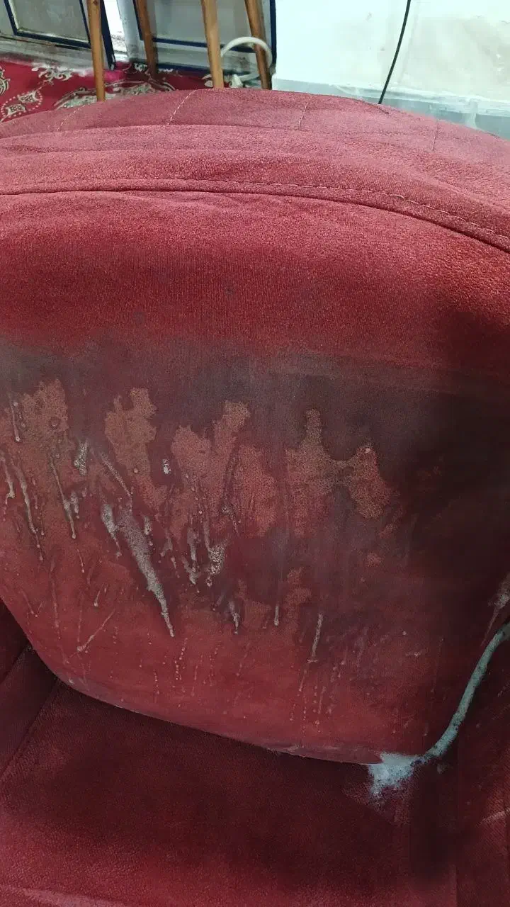 خدمات مبل شویی نوین شو شستشو تضمینی|خدمات نظافت|رشت, معلم|دیوار