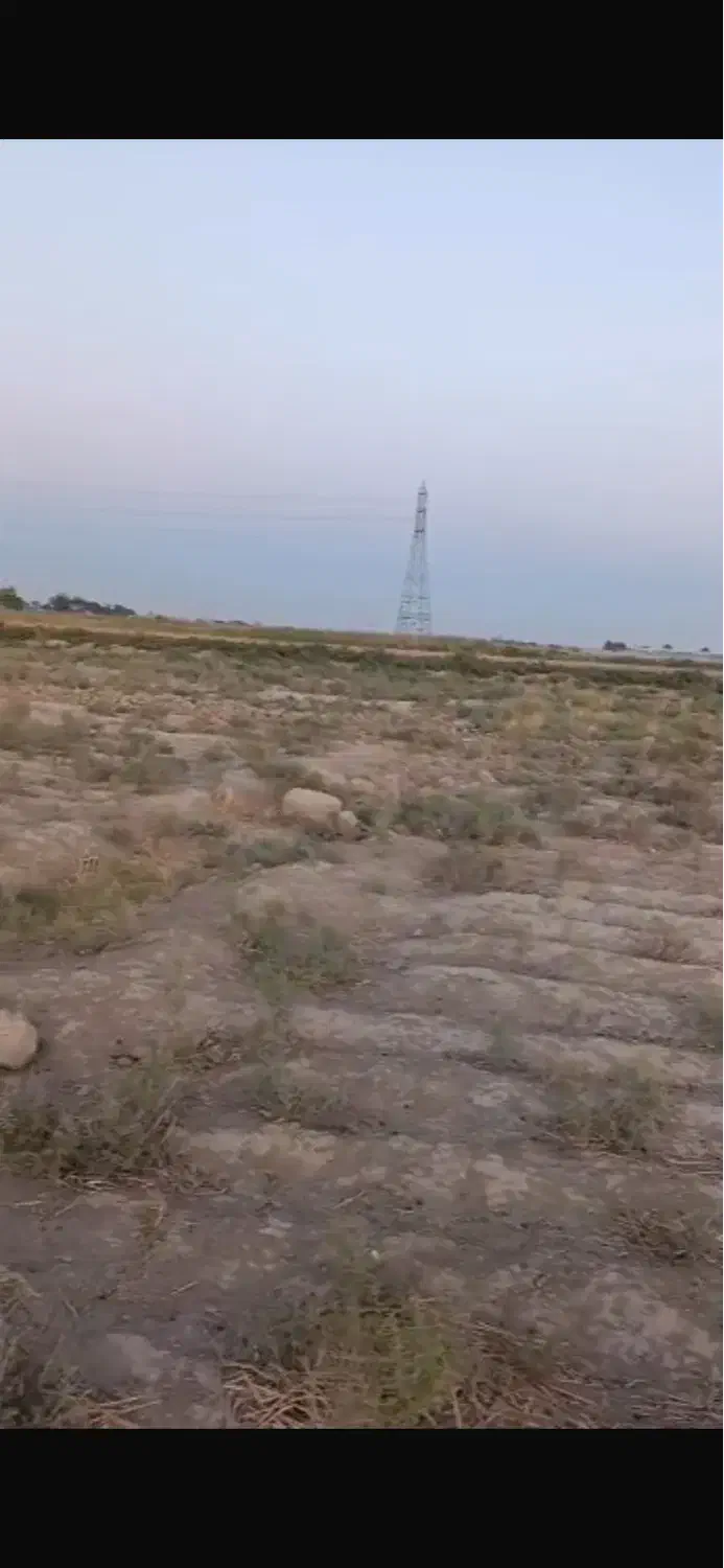 زمین کشاورزی گلخانه ای باغی|فروش زمین و ملک کلنگی|ورامین, ورامین|دیوار