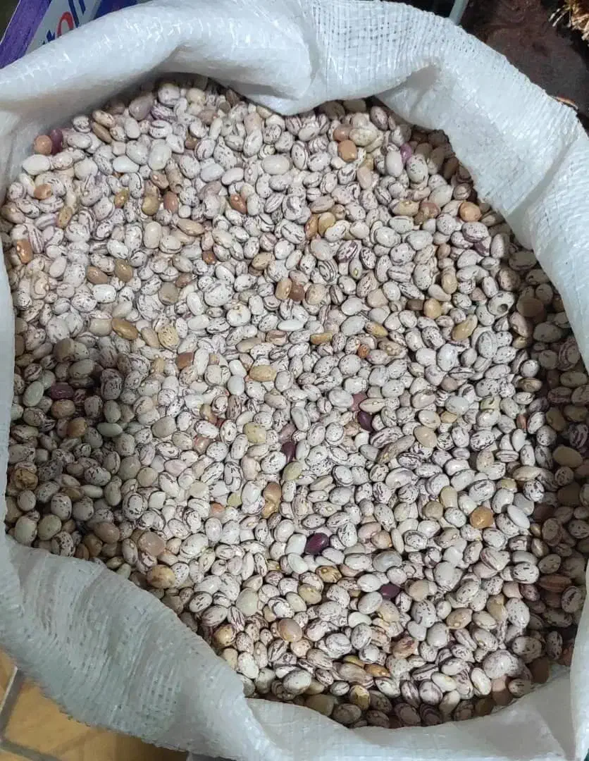 لوبیا چیتی|خوردنی و آشامیدنی|شیراز, شهرک قمشه|دیوار