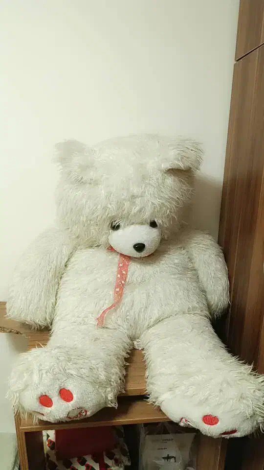 عروسک|اسباببازی بچه|صدرا-فارس, فاز ۱|دیوار