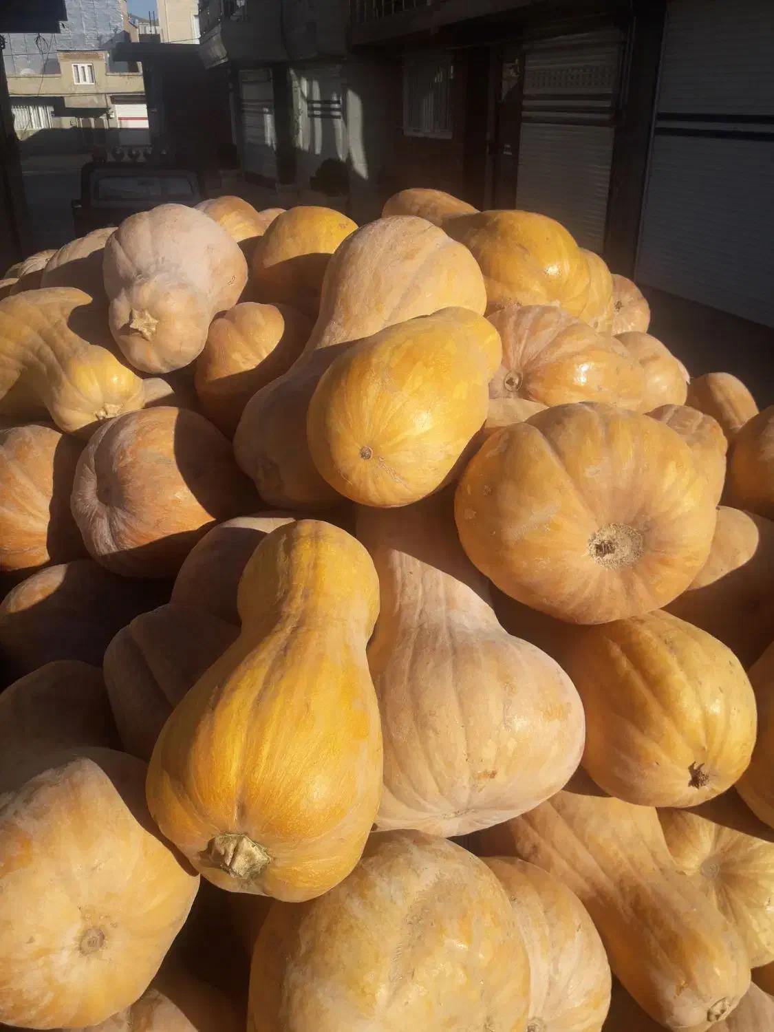 کوله که محلی درجه یک|خوردنی و آشامیدنی|بانه, |دیوار