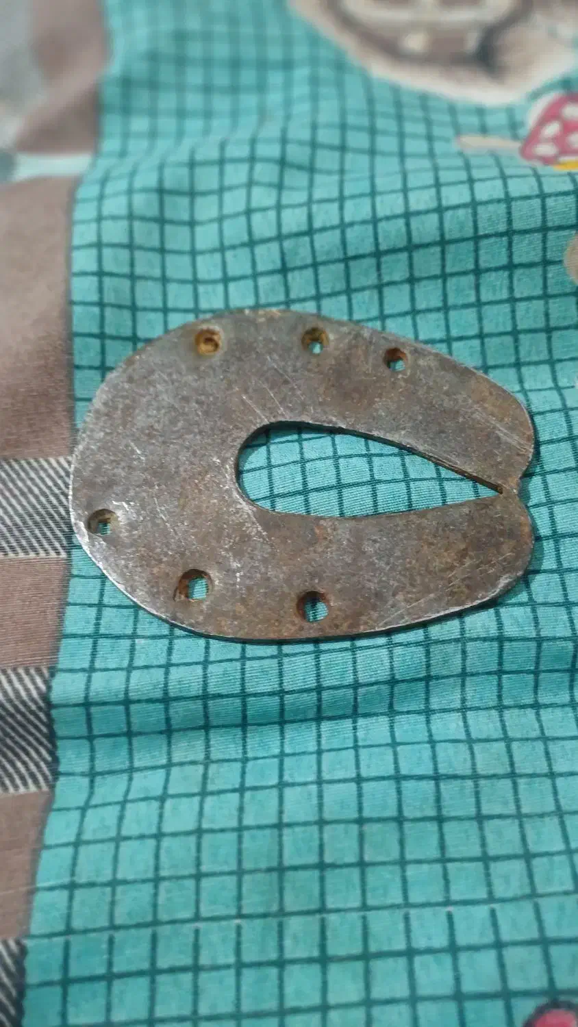 نحل|اسب و تجهیزات اسب‌سواری|لالی, |دیوار