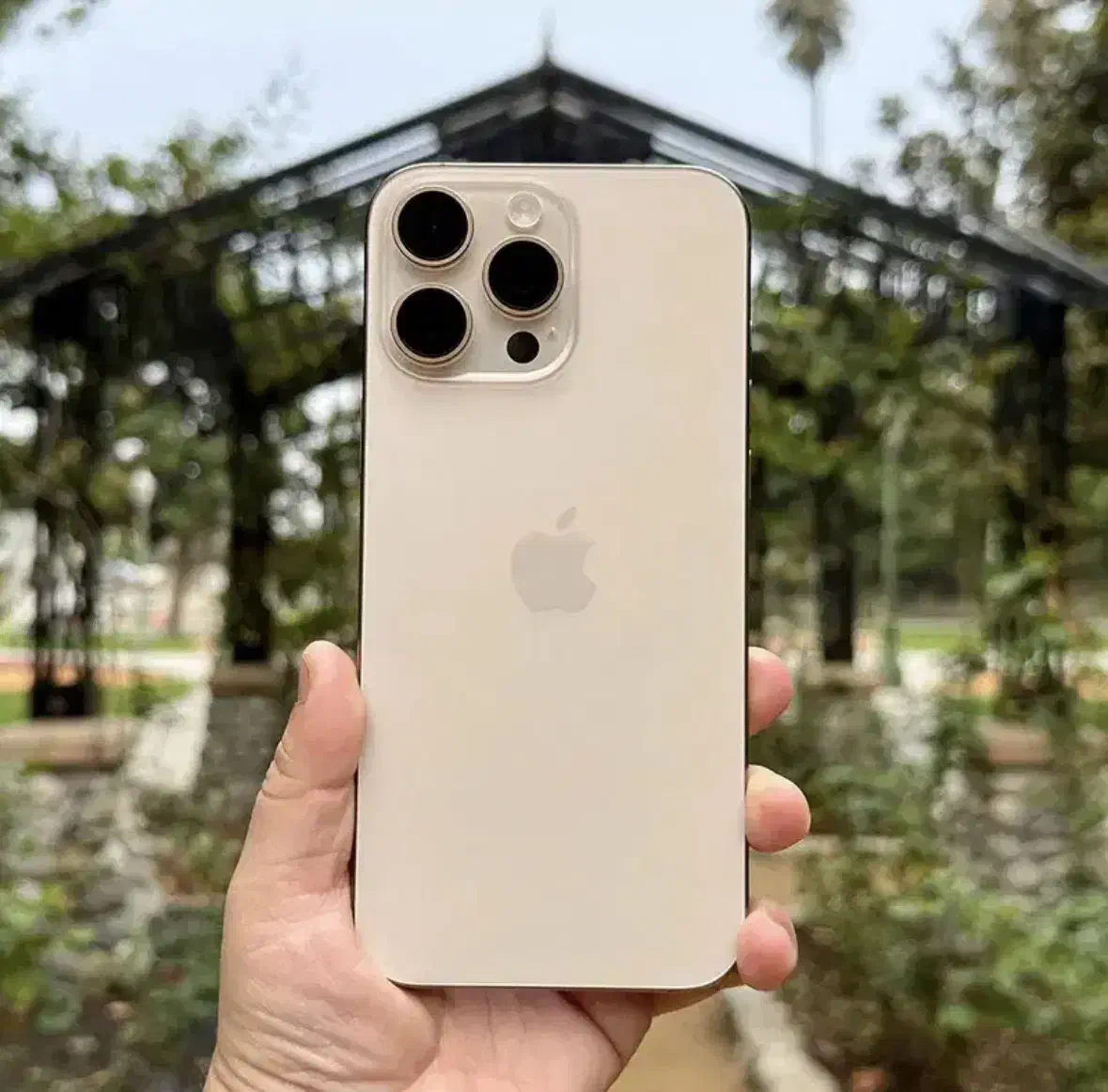 آیفون 16 پرو مکس|موبایل|سنندج, |دیوار