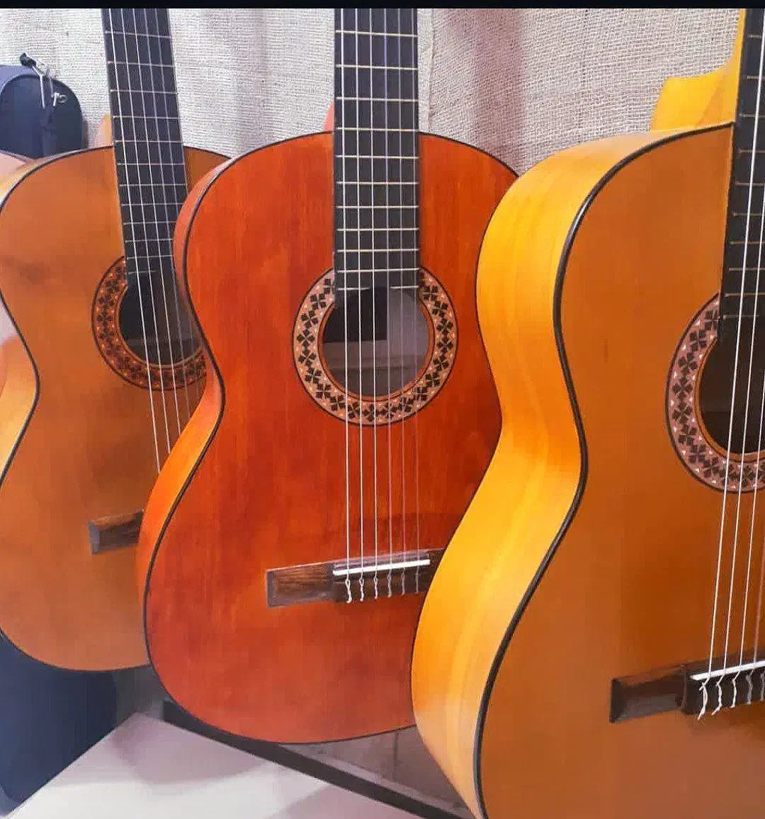 مضراب تار سنتور بلز سه تار گیتار|سازهای سنتی|شیراز, شاهچراغ|دیوار