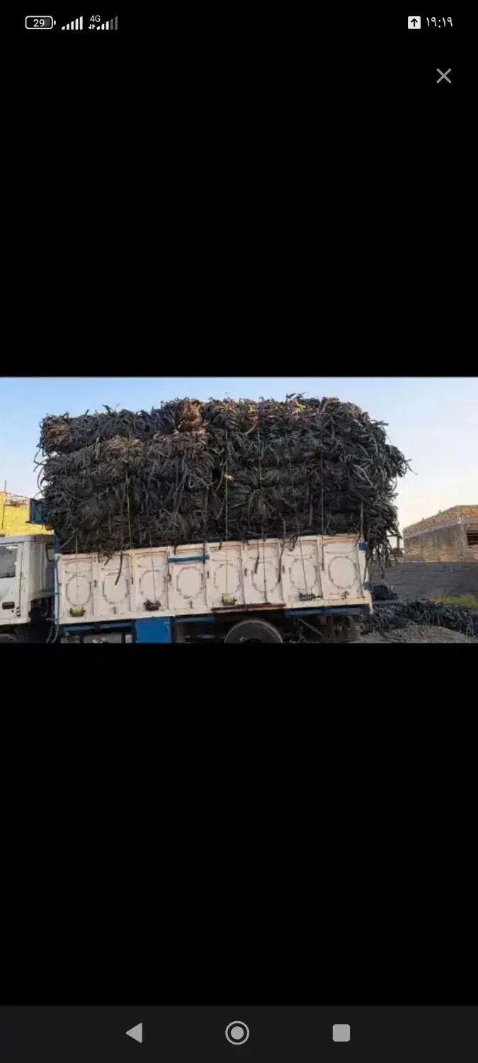 خریدار تیپ ضایعات به بالاترین قیمت به صورت نقدی|خدمات باغبانی و درختکاری|زالیان, |دیوار